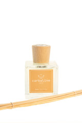 Домашний аромат Carbaline "Lotus" 250мл цена и информация | Ароматы для дома | 220.lv