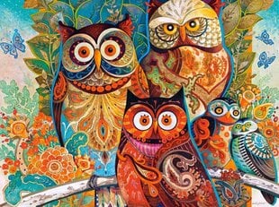 Пазл Castorland Owls, 2000 д. цена и информация | Пазлы | 220.lv