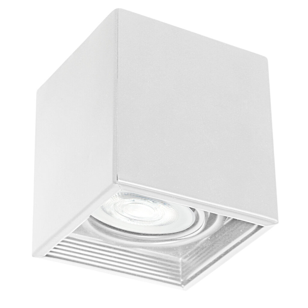 Luminex griestu lampa Downlight cena un informācija | Griestu lampas | 220.lv