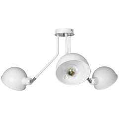 Luminex потолочный светильник Devin цена и информация | Потолочный светильник | 220.lv