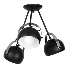 Luminex потолочный светильник Ovo цена и информация | Потолочные светильники | 220.lv