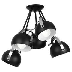 Luminex потолочный светильник Ovo цена и информация | Потолочные светильники | 220.lv
