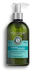 Matu šampūns L'Occitane Purifying Freshness 500 ml цена и информация | Шампуни | 220.lv