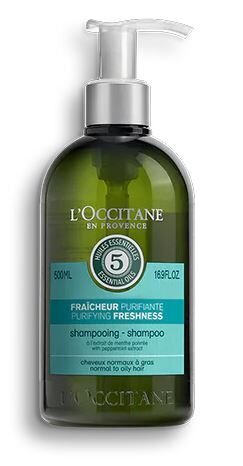 Matu šampūns L'Occitane Purifying Freshness 500 ml цена и информация | Šampūni | 220.lv