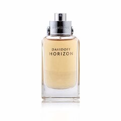 Мужская парфюмерия Horizon Davidoff EDT: Емкость - 40 ml цена и информация | Мужские духи | 220.lv