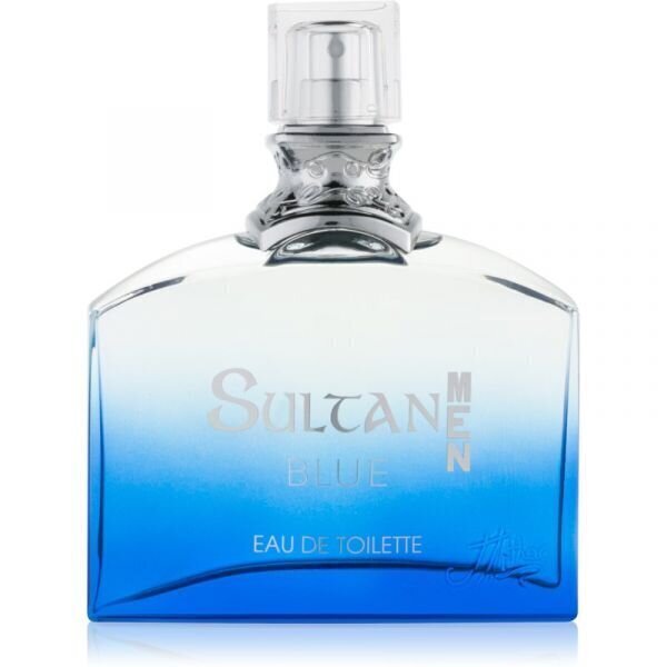 Tualetes ūdens Jeanne Arthes Sultan Blue Men EDT vīriešiem 100 ml цена и информация | Vīriešu smaržas | 220.lv