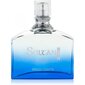 Tualetes ūdens Jeanne Arthes Sultan Blue Men EDT vīriešiem 100 ml cena un informācija | Vīriešu smaržas | 220.lv