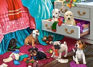 Puzle Puzzle Castorland Puppies in the Bedroom, 300 det. цена и информация | Пазлы | 220.lv