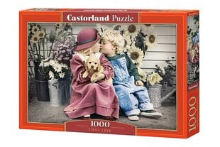 Puzle Puzzle Castorland First Love, 1000 det. цена и информация | Пазлы | 220.lv