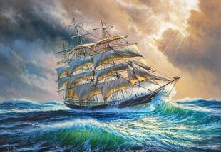 Puzzle 1000 элементов "Sailing against all odds" цена и информация | Пазлы | 220.lv