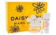Komplekts sievietēm Marc Jacobs Daisy Love cena un informācija | Sieviešu smaržas | 220.lv