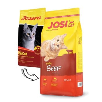 JosiCat с вкусной говядиной Tasty Beef, 10 кг цена и информация | Сухой корм для кошек | 220.lv