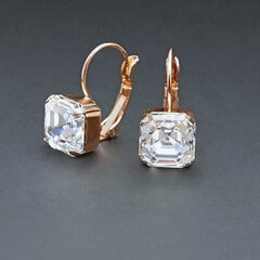 Auskari "Imperial" ar Swarovski™ kristāliem цена и информация | Серьги | 220.lv