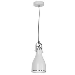 Luminex подвесной светильник Bjorn цена и информация | Люстры | 220.lv