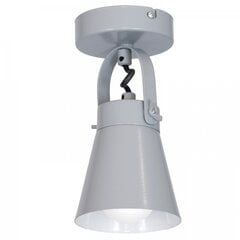 Luminex потолочный светильник Amos цена и информация | Потолочные светильники | 220.lv
