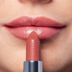 Lūpu krāsa "ARTDECO High Performance Lipstick" 458 cena un informācija | Lūpu krāsas, balzāmi, spīdumi, vazelīns | 220.lv