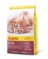 Josera augošiem kaķiem Kitten, 2 kg цена и информация | Sausā barība kaķiem | 220.lv