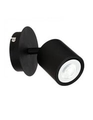 Luminex потолочный светильник Demia цена и информация | Потолочные светильники | 220.lv