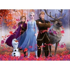 Puzle Ravensburger Ledus sirds 2 (Frozen 2) Meža maģija, 100 d., 12867 cena un informācija | Puzles, 3D puzles | 220.lv