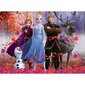 Puzle Ravensburger Ledus sirds 2 (Frozen 2) Meža maģija, 100 d., 12867 цена и информация | Puzles, 3D puzles | 220.lv