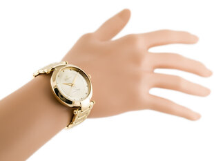 Sieviešu rokas pulksteņi GINO ROSSI GR11382AG cena un informācija | Sieviešu pulksteņi | 220.lv