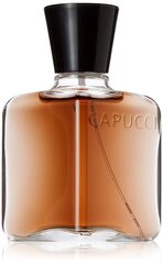 Tualetes ūdens Roberto Capucci L'Homme Suave EDP vīriešiem 100 ml цена и информация | Мужские духи | 220.lv