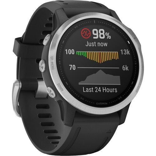 Viedais pulkstenis Garmin Fenix 6S, Black with Silver Hardware cena un informācija | Viedpulksteņi (smartwatch) | 220.lv