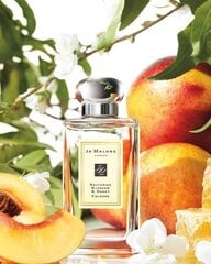 Одеколон для мужчин / женщин Jo Malone Nectarine Blossom & Honey 100 мл цена и информация | Женские духи Lovely Me, 50 мл | 220.lv