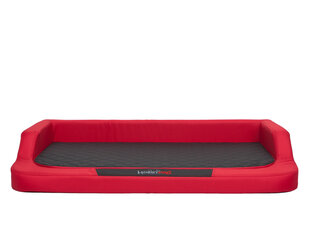Hobbydog guļvieta Medico Standard XXL, 120x80 cm, sarkanas/melnas krāsas cena un informācija | Suņu gultas, spilveni, būdas | 220.lv