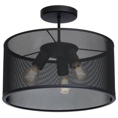Luminex griestu lampa Felix цена и информация | Потолочные светильники | 220.lv