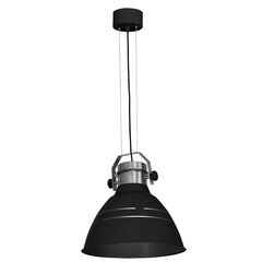 Luminex подвесной светильник Edgar цена и информация | Люстры | 220.lv