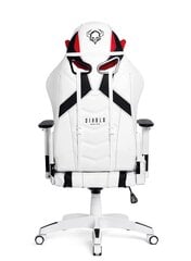 Spēļu krēsls Diablo X-Ray L, balts/melns цена и информация | Офисные кресла | 220.lv