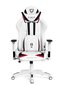 Spēļu krēsls Diablo X-Ray L, balts/melns cena un informācija | Biroja krēsli | 220.lv
