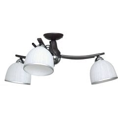 Luminex griestu lampa Avia цена и информация | Потолочные светильники | 220.lv