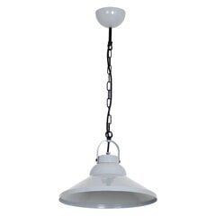 Luminex подвесной светильник Iron  цена и информация | Люстры | 220.lv