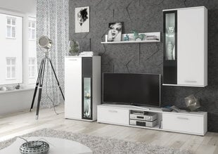 Комплект мебели для гостиной ASM Wow, белый/черный цена и информация | Секции | 220.lv
