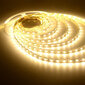 Mitrumizturīgas LED Lentes (tonis 3000K) komplekts ar dimmeri un barošanas bloku. Garums 10 metri. cena un informācija | LED lentes | 220.lv