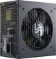 SeaSonic FOCUS-GX-850 cena un informācija | Barošanas bloki (PSU) | 220.lv