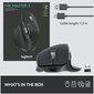 Logitech 910-005694, melns цена и информация | Peles | 220.lv