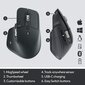 Logitech 910-005694, melns цена и информация | Peles | 220.lv