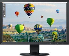 Eizo CS2410-BK, 24.1" цена и информация | Мониторы | 220.lv