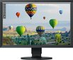 Eizo CS2410-BK цена и информация | Monitori | 220.lv