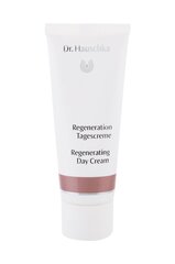 Восстанавливающий дневной крем для лица Dr. Hauschka Regenerating Day Cream 40 мл цена и информация | Кремы для лица | 220.lv