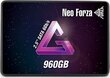 Goldkey Technology Corporation NFS01-256GB cena un informācija | Iekšējie cietie diski (HDD, SSD, Hybrid) | 220.lv
