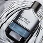 Parfimērijas ūdens Jimmy Choo Urban Hero EDP vīriešiem 50 ml цена и информация | Sieviešu smaržas | 220.lv