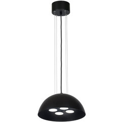 Luminex подвесной светильник Slot цена и информация | Настенный/подвесной светильник Eye Spot 11 BL, чёрный | 220.lv