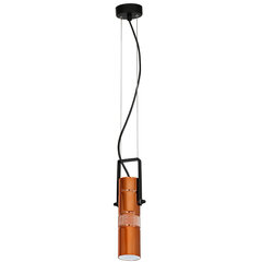 Luminex потолочный светильник Salva цена и информация | Настенный/подвесной светильник Eye Spot 11 BL, чёрный | 220.lv