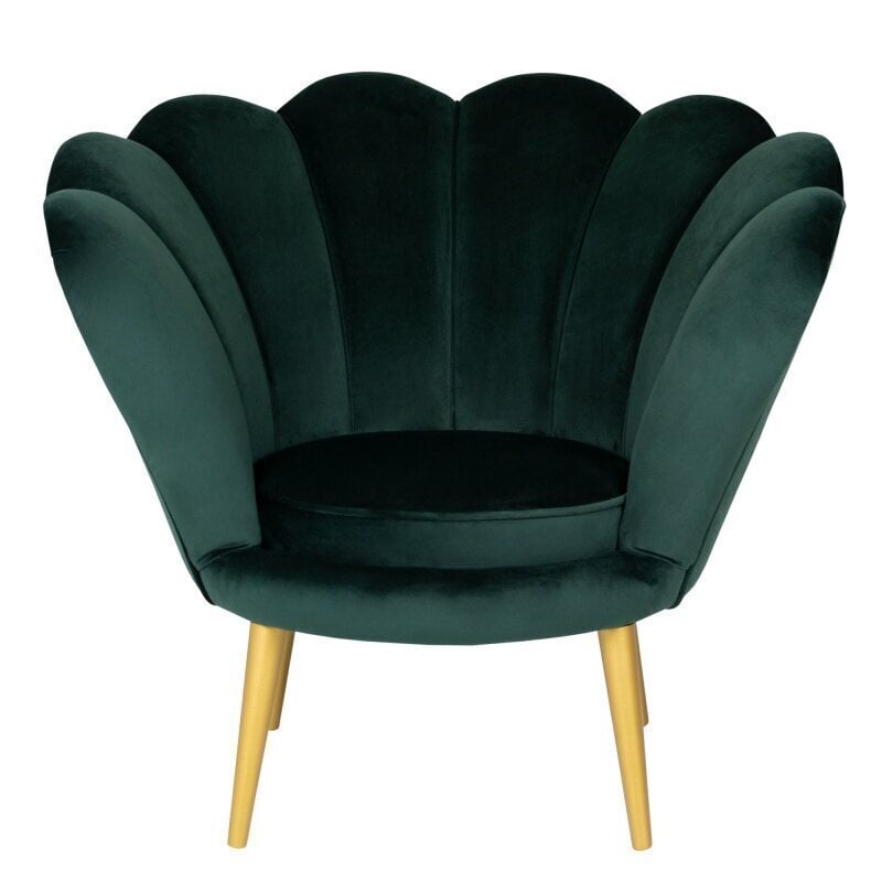 Krēsls TMS Tristan, zaļš/zelta krāsas cena un informācija | Atpūtas krēsli | 220.lv