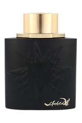 Salvador Dali Le Roy Soleil Extreme for Men edt 100 ml cena un informācija | Vīriešu smaržas | 220.lv