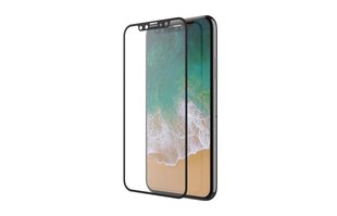 Devia Van   Full Tempered Glass iPhone XS Max (6.5)  (10) цена и информация | Защитные пленки для телефонов | 220.lv